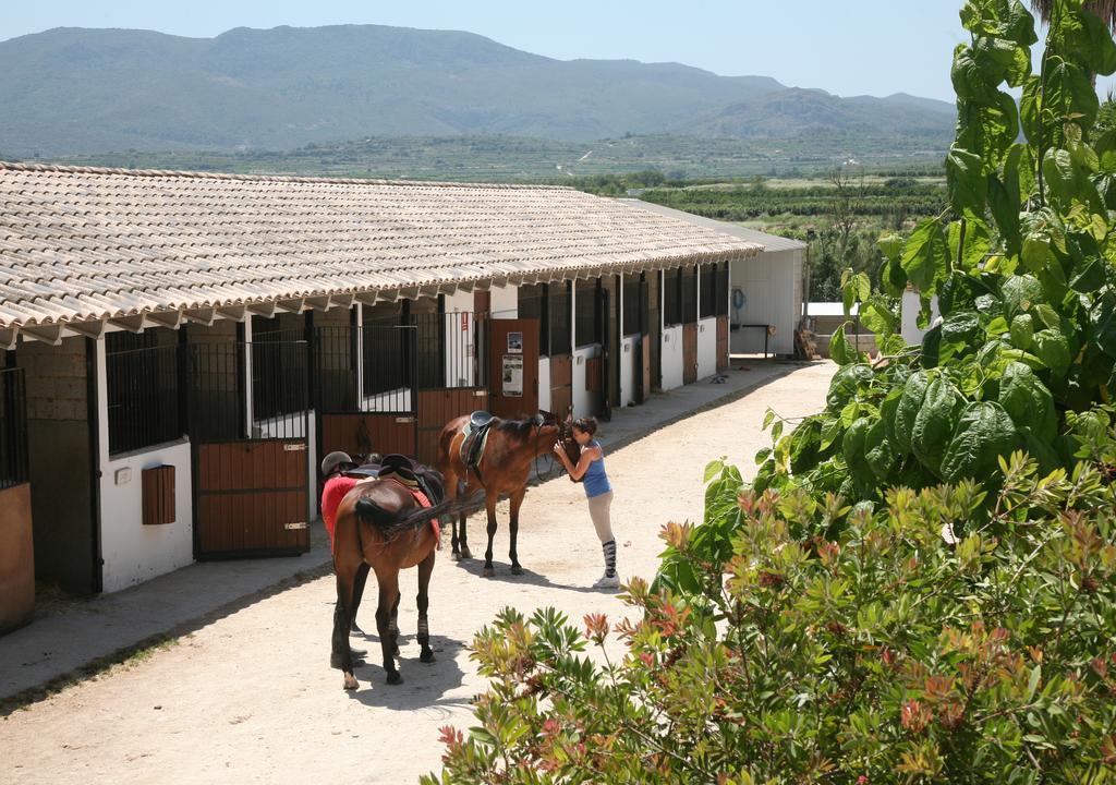 Farm stay El Mas De Xeta *