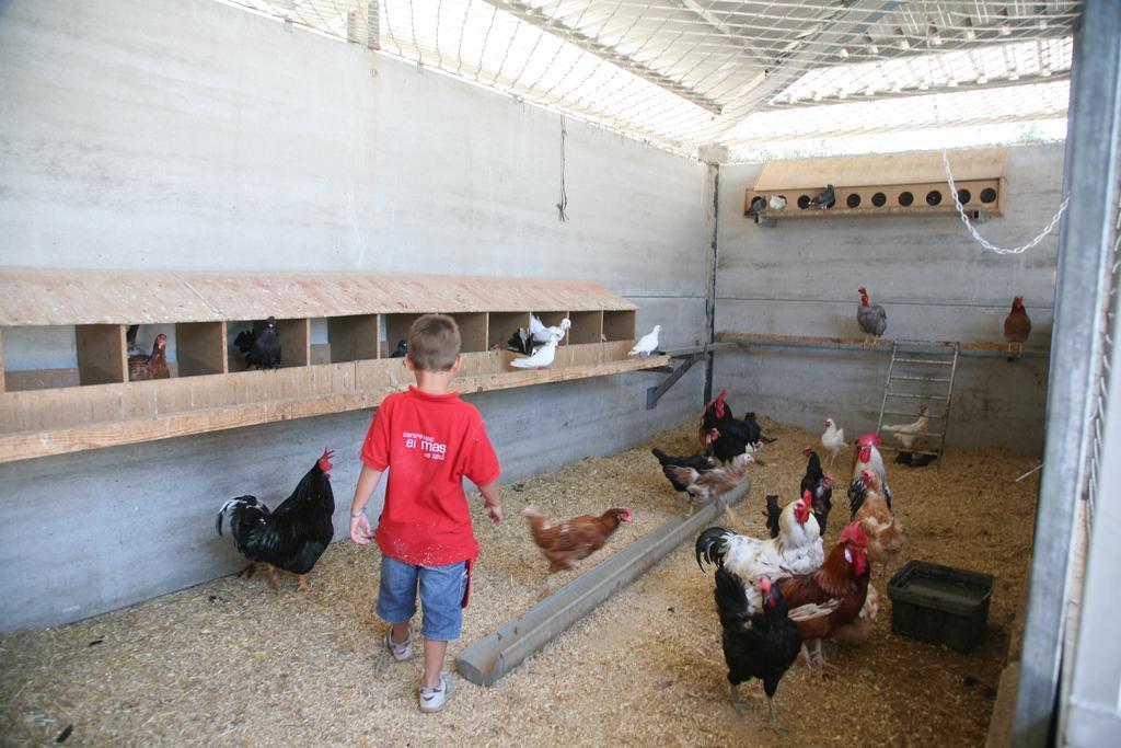 Farm stay El Mas De Xeta *