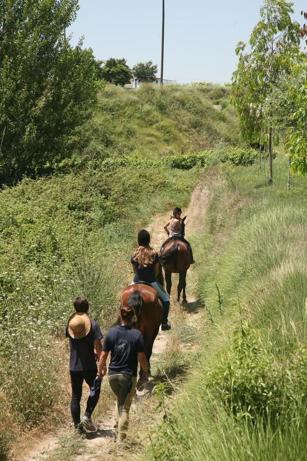 Farm stay El Mas De Xeta