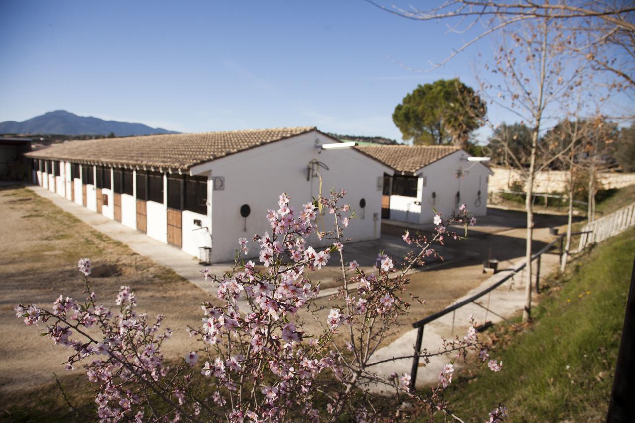 El Mas De Xeta Farm stay