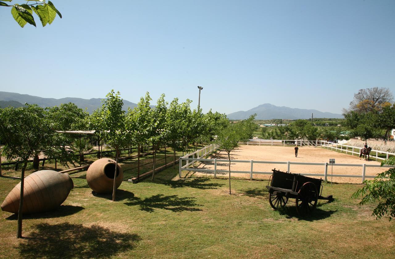 Farm stay El Mas De Xeta *